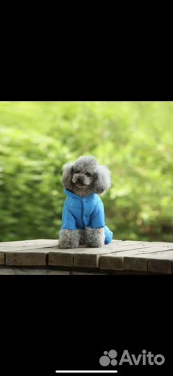 Тёплый комбинзон для собак и кошек