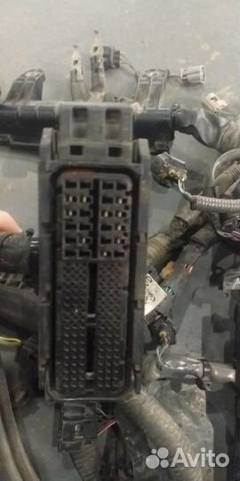 Проводка (коса) toyota Land Cruiser 200 2008