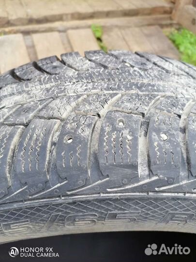 Gislaved Nord Frost 5 195/65 R15