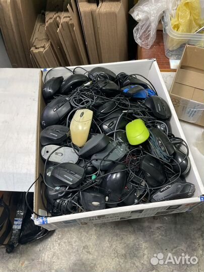 Мышки компьтерные много