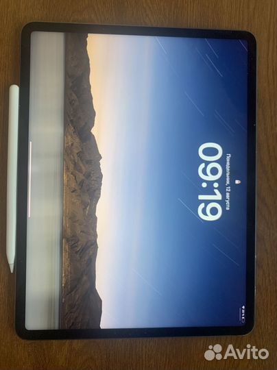 iPad pro 12.9 256 gb 5
