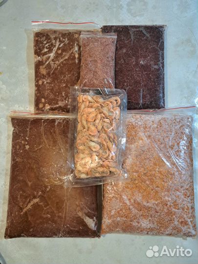 Корм Для Аквариумных Рыб в днр