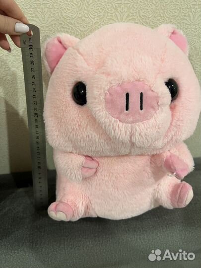 Хорошенькая свинка