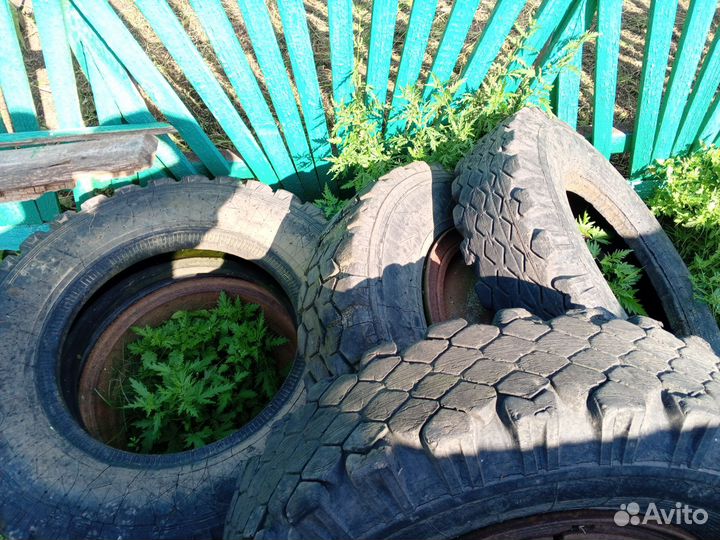 Шины бу на газ 53