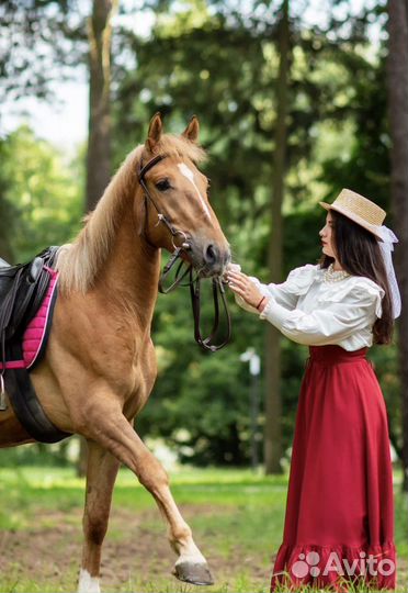 Конные прогулки