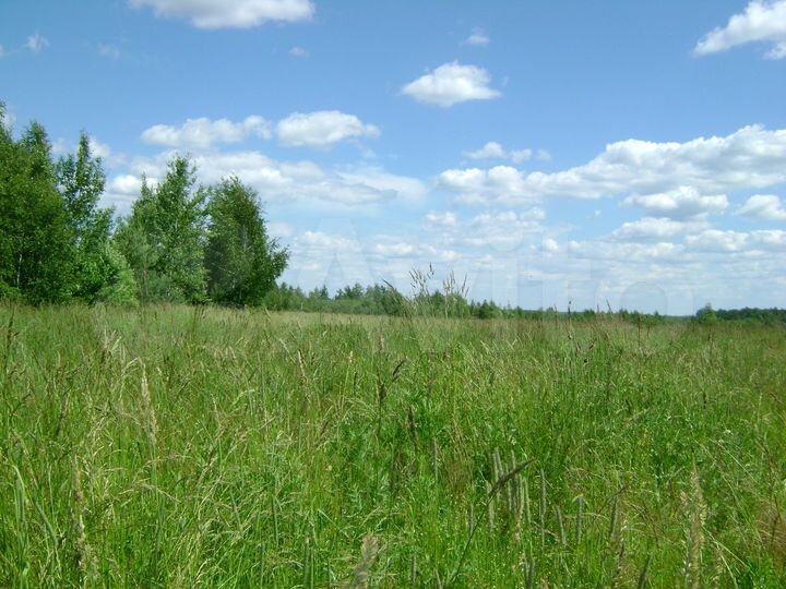 Участок 3,39 га (СНТ, ДНП)