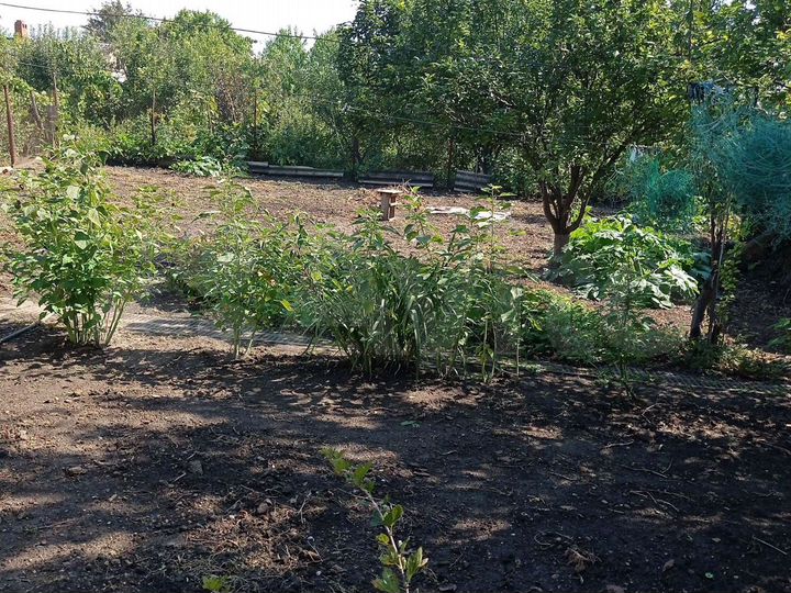 Дом 80 м² на участке 4 сот.