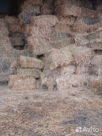 Сено в тюках