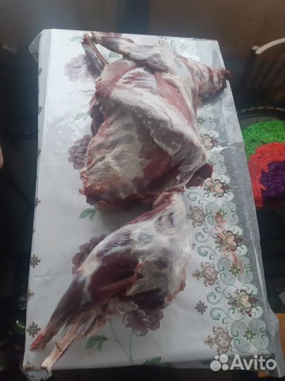 Мясо