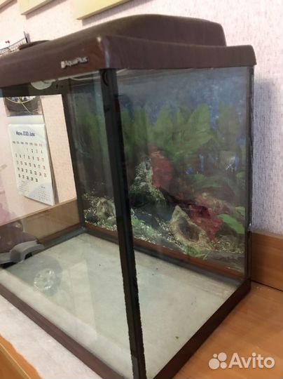 Аквариум