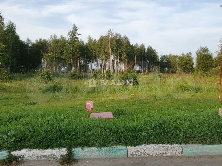 Участок 13 га (личное подсобное хозяйство (лпх))