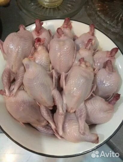 Перепелиное мясо под заказ