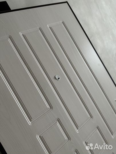 Дверь металлическая входная