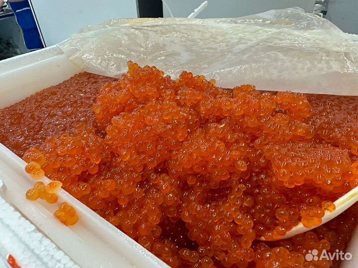 Красная икра оптом 2023г