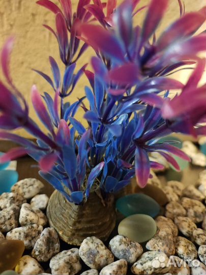 Аквариум 20 л (и принадлежности)