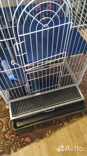 Клетка для грызунов большая