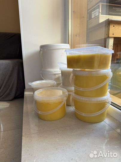 Мед цветочный луговой и разнотравие 3л