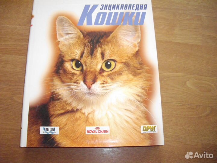 Энциклопедия 