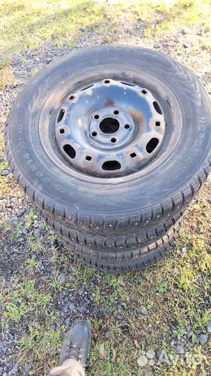 Nokian Tyres Nordman 7 175/70 R14