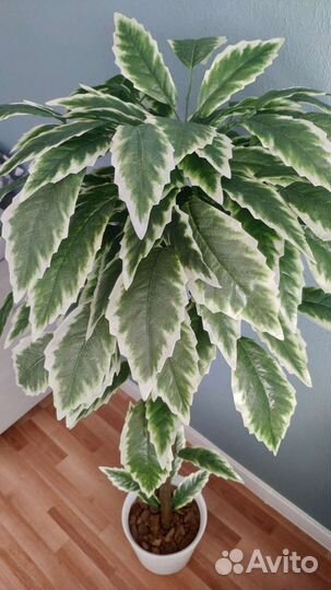 Искусственное дерево Манго