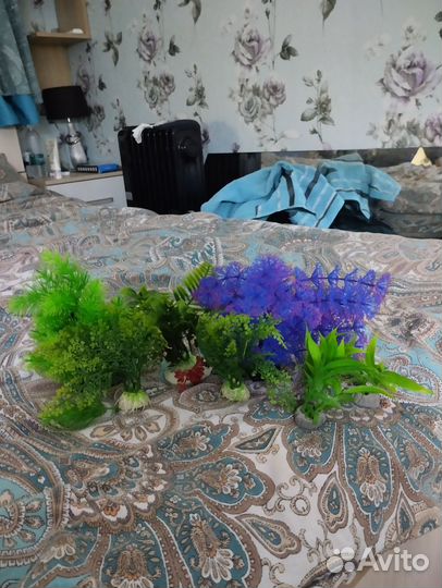 Для аквариума и грызунов
