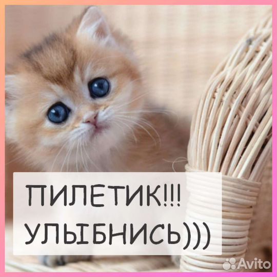 Казан чугунный оптом