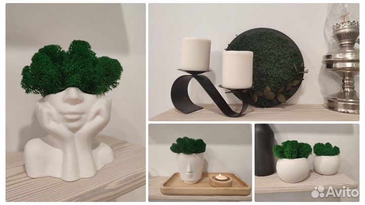 Гипсовое кашпо + стабилизированный мох