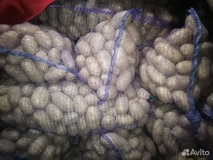 Картофель до квартиры
