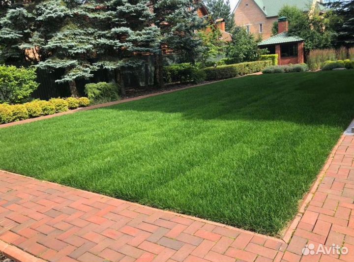 Рулонный газон от производителя