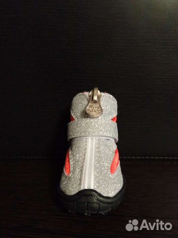 Ботинки для маленьких собак