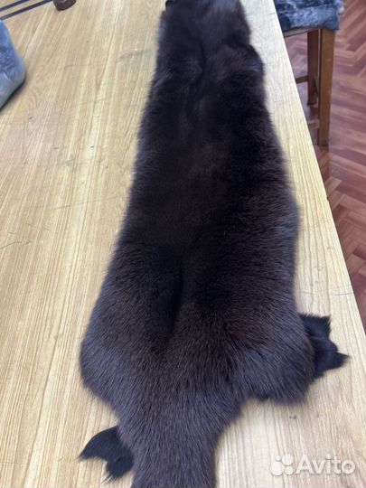 Песец коричневый, шкура цельная
