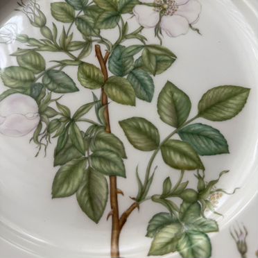 Блюдо, Тарелка от Royal Copenhagen, Flora Delica