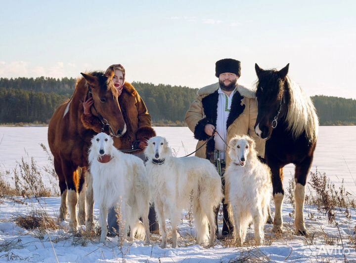 Конные прогулки