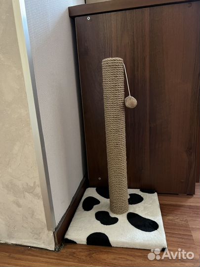 Когтеточка бу