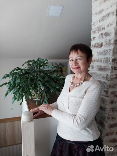 Няня-гувернантка на подхвате в помощь семье