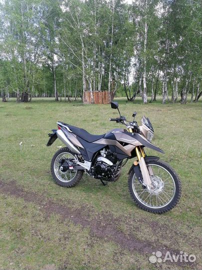 Racer RC300-GY8 ranger