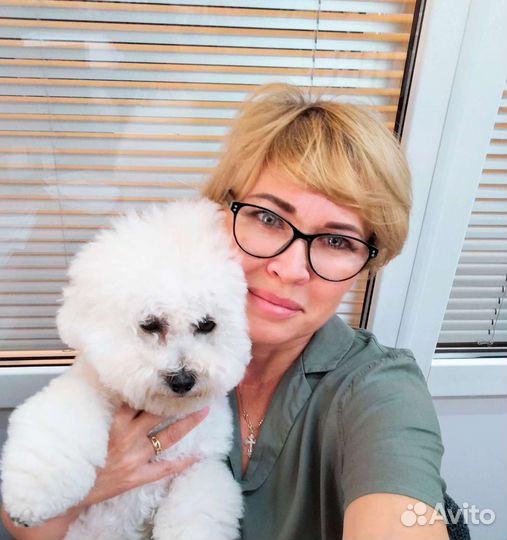 Домашняя гостиница для животных, передержка