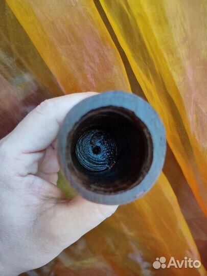 Данио/Анциструсы/Гуппи/Ампулярии