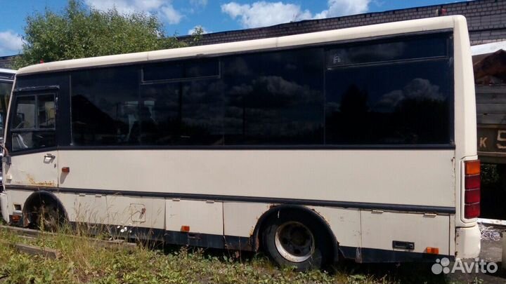 Городской автобус ПАЗ 3203, 2005