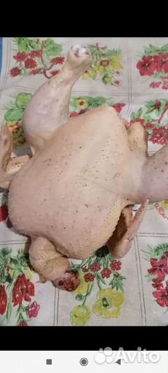 Мясо домашних бройлеров