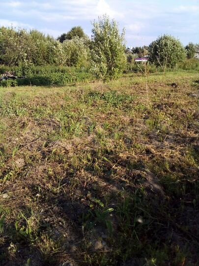 Участок 6 сот. (СНТ, ДНП)