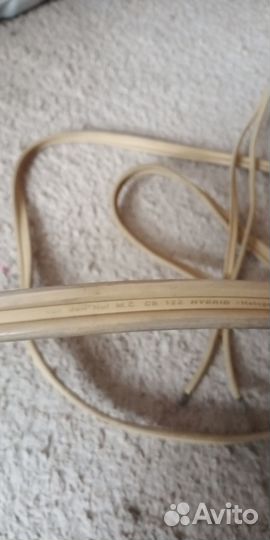 Monster Xp-Hp.Van Den Hul