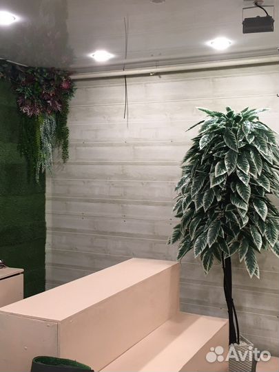 Искусственные растения