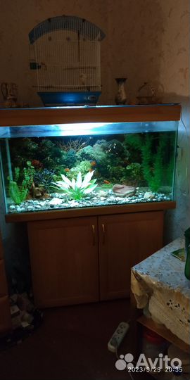 Аквариум