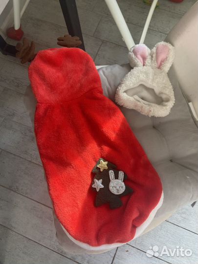 Новогодняя одежда доя кота или собаки