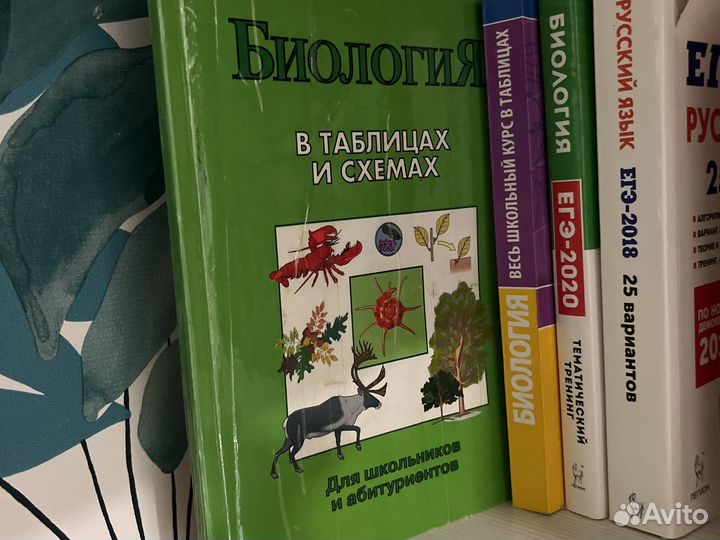 Учебные материалы для самоподготовки к огэ и егэ