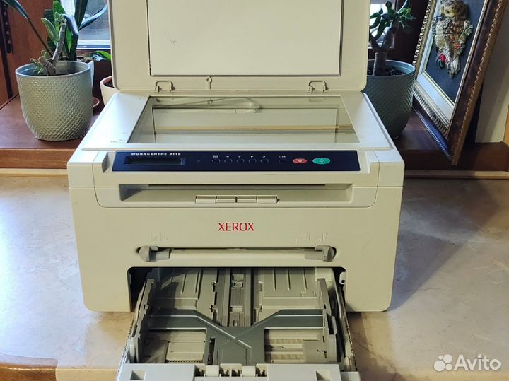 Принтер мфу xerox 3119