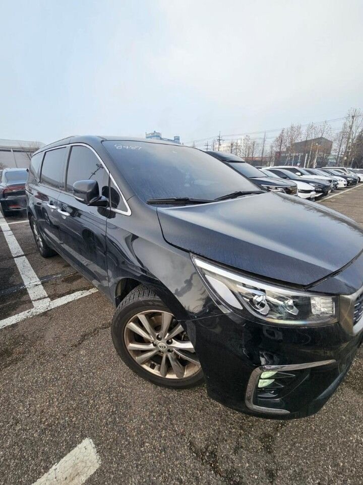 Kia Carnival: фото владельца