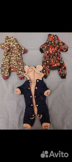 Комбинезоны для маленькой собачки.Трусики trixie