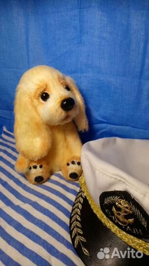 Спаниелька